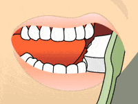 Preventive Dentistry Service